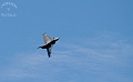 JAS-39 Gripen (3)